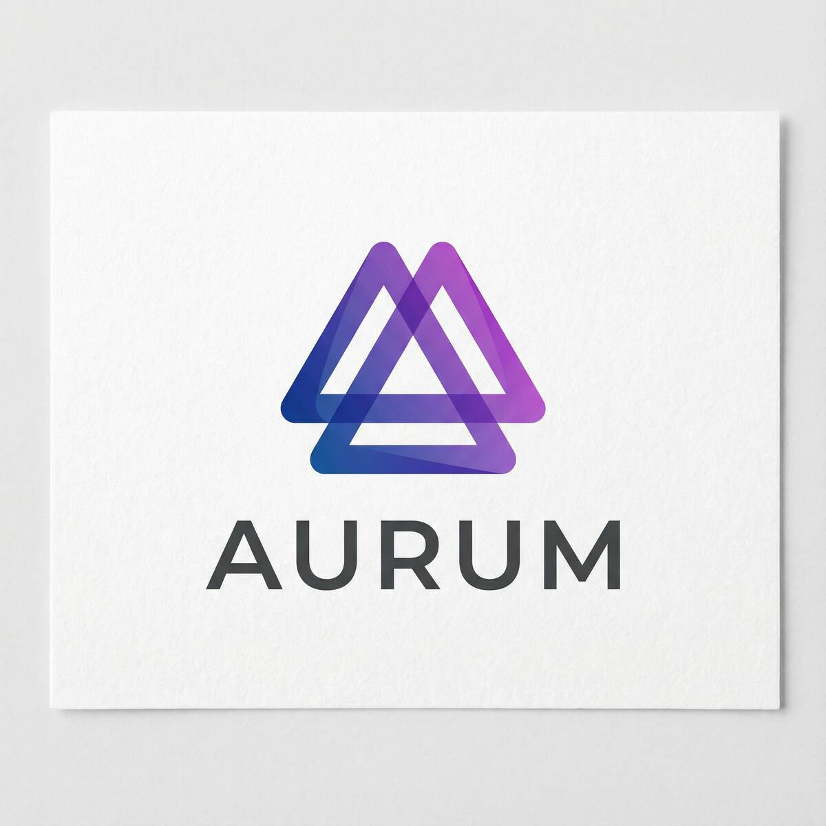 极乐园合作品牌